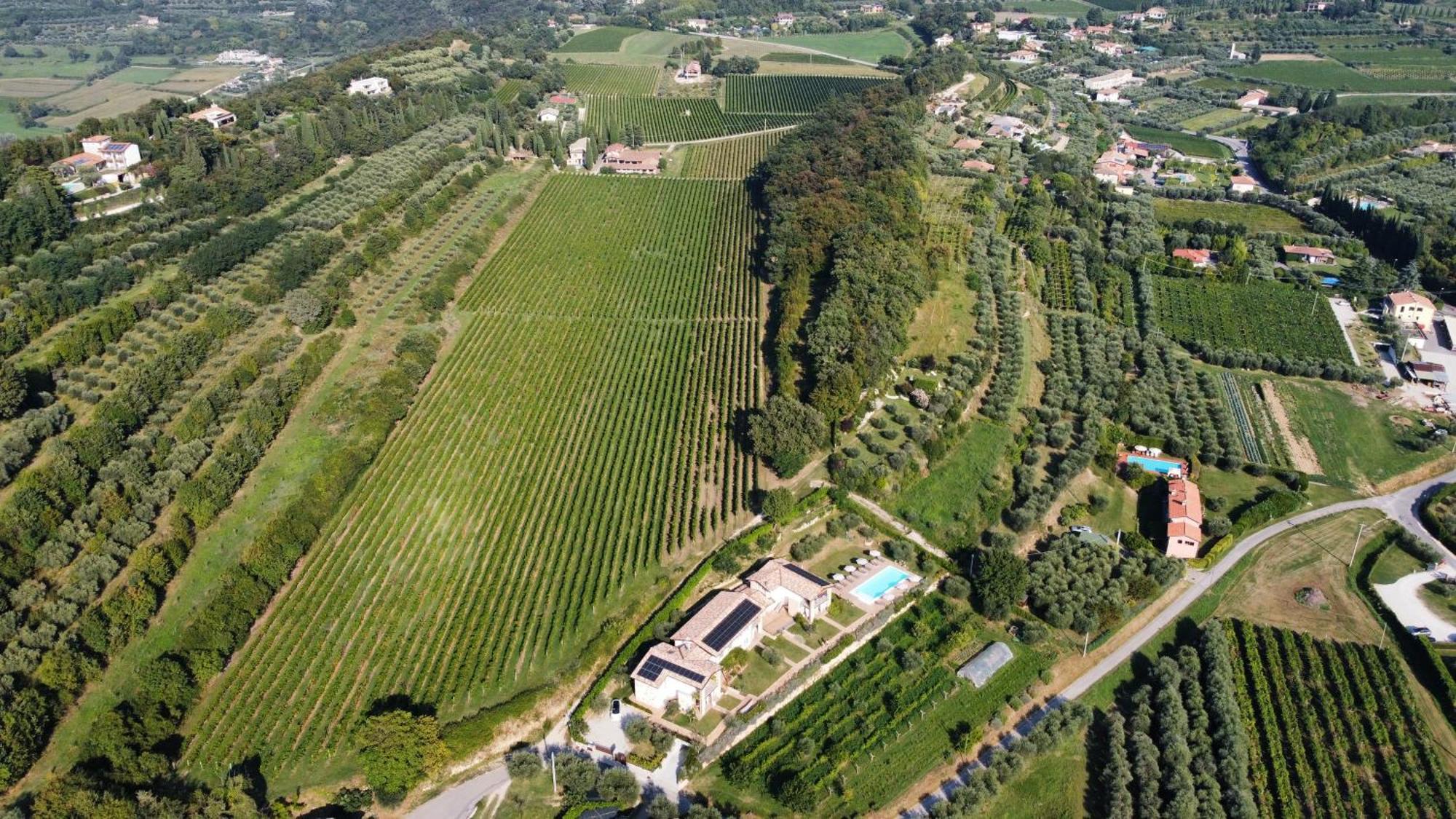 Casa Olivi Apartments Bardolino Buitenkant foto